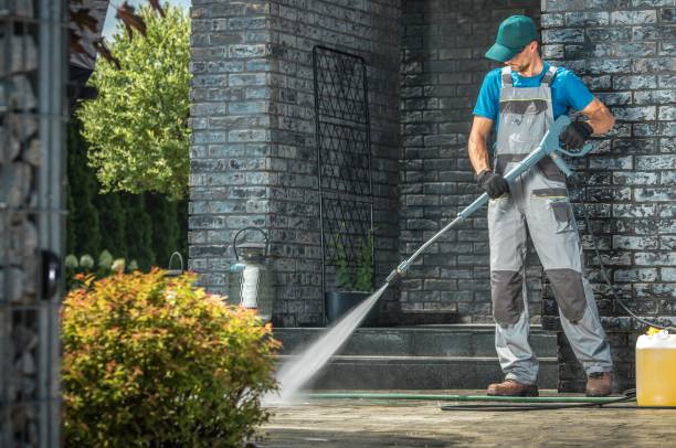 Best Gutter Cleaning  in Truman, MN