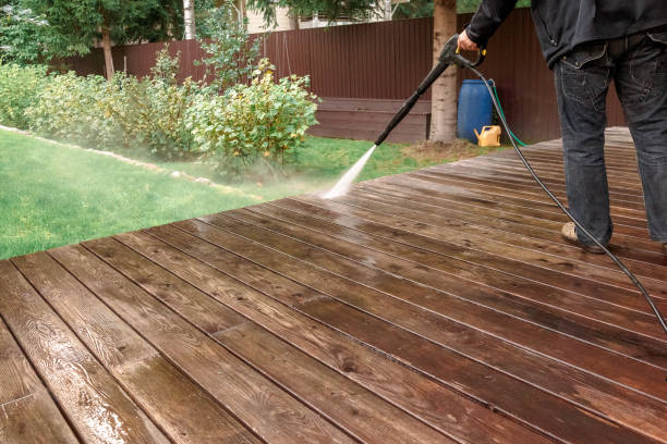 Best Roof Washing  in Truman, MN