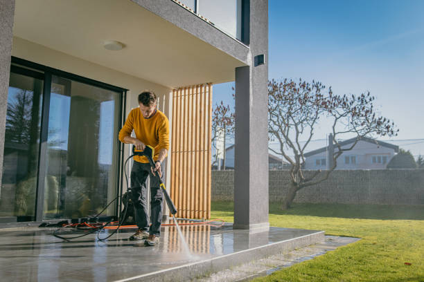 Best Pre-Holiday Cleaning  in Truman, MN